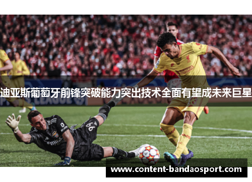迪亚斯葡萄牙前锋突破能力突出技术全面有望成未来巨星 迪亚斯葡萄牙前锋突破能力突出技术全面有望成未来巨星